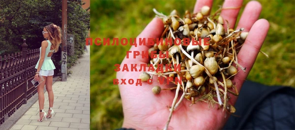 эйфоретик Алексин